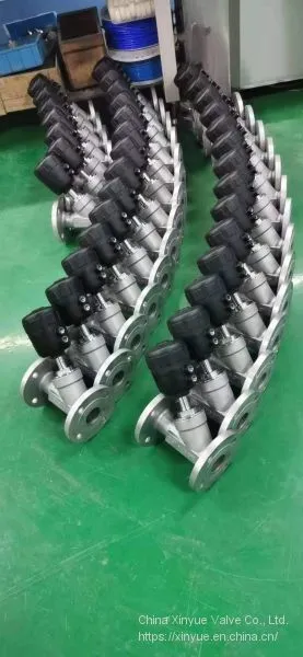 Stainless Steel Flange Angle Seat Valve Pneumatic Angle Seat Valve photo-5