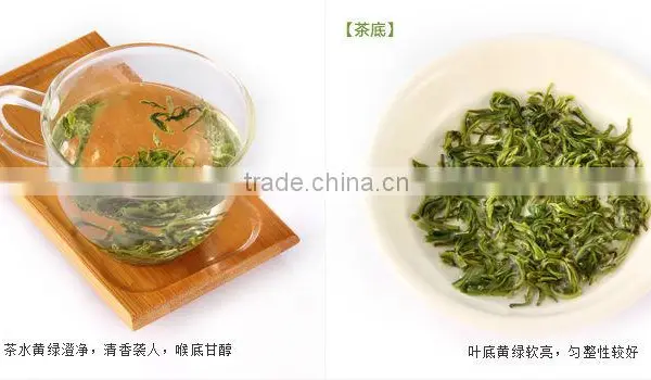 Biluochun Green Tea,piluochun photo-5