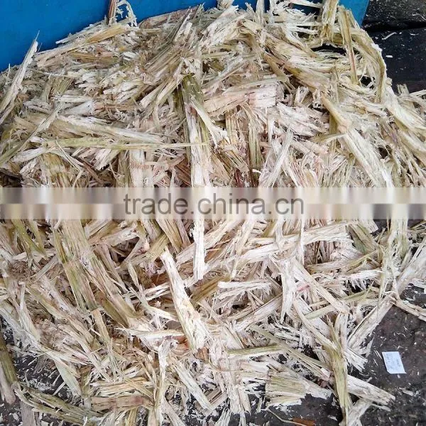 Fermented Bagasse Pellets photo-3