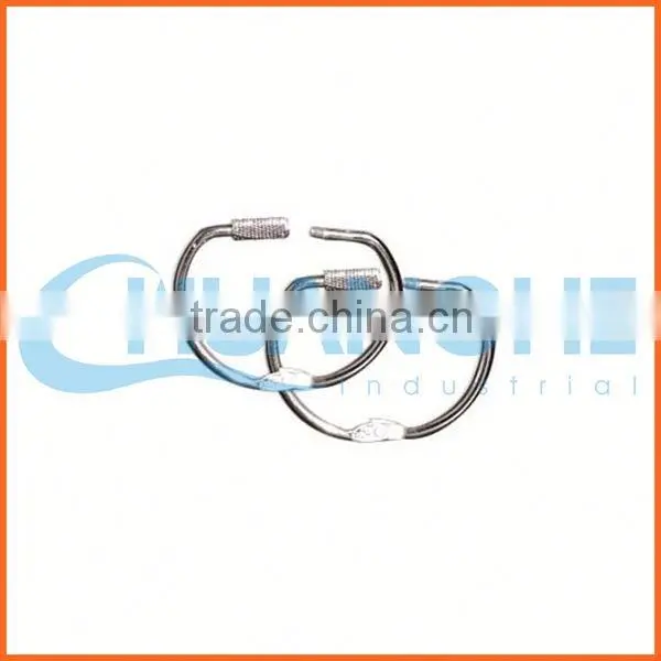 China Supplier Mild Steel Lifting d Ring photo-4