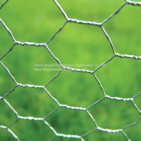 Hexagonal Wire Mesh Hexagonal Mesh Hexagonal Gabion Box Chicken Egg Layer Cages photo-2