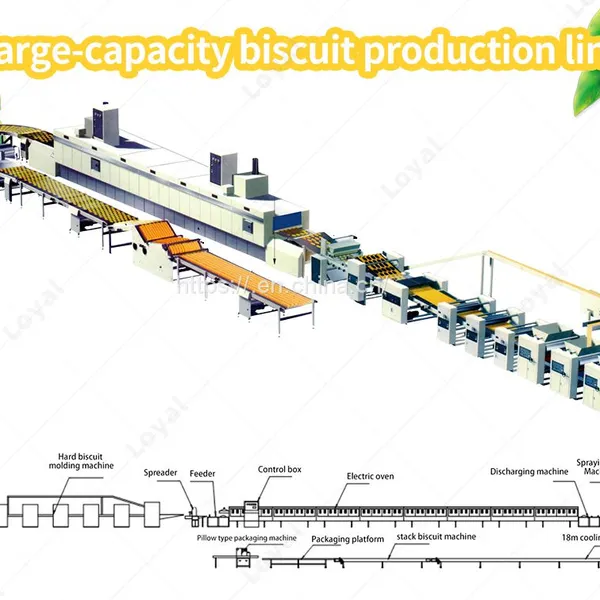Biscuit Making Machine /Maker Biscuit Processing Equipment Cookies Biscuit Making Machine