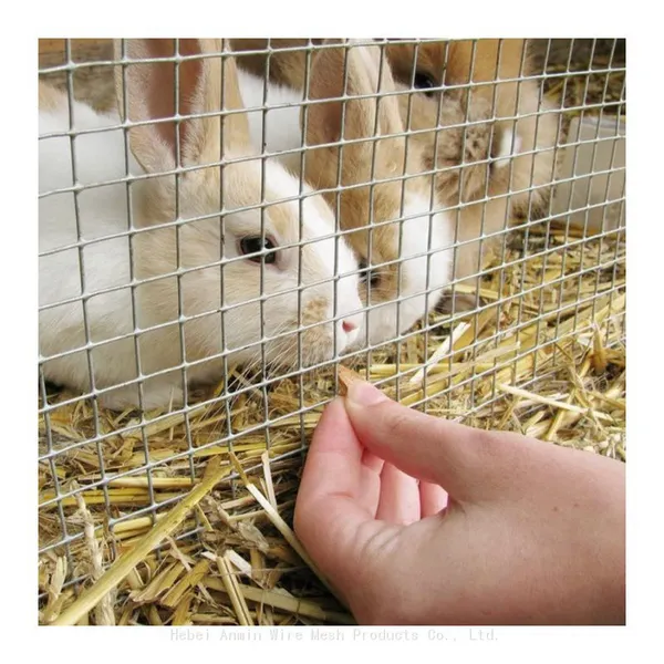 Service for Cutting and Processing of Square-hole Woven Steel Fence for Vegetable Garden, Using 19-gauge Galvanized Welded Wire Mesh. photo-3
