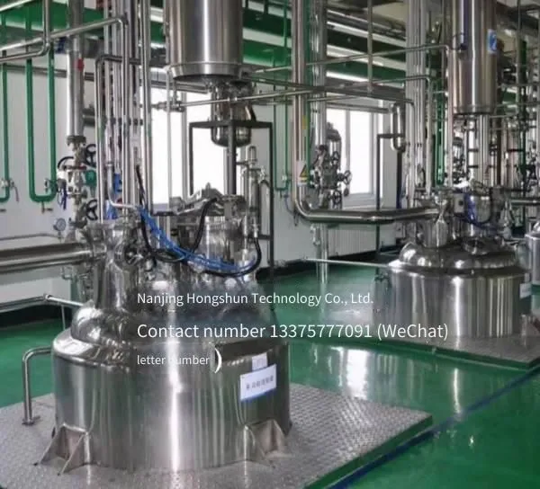 Hongshun Technology Reactor Supplier, Customizable