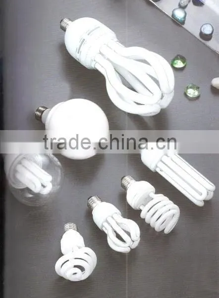 Spiral Compact Fluorescent Bulb