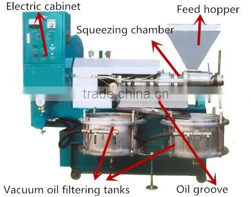 Coconut Extraction Peanut Oil Peanut Processing Machine photo-2