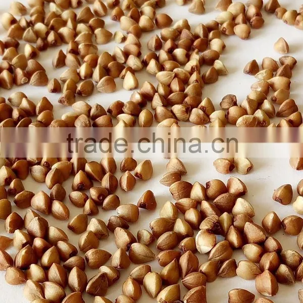 Brown Color and Dried Style Roasted Buckwheat Groats
