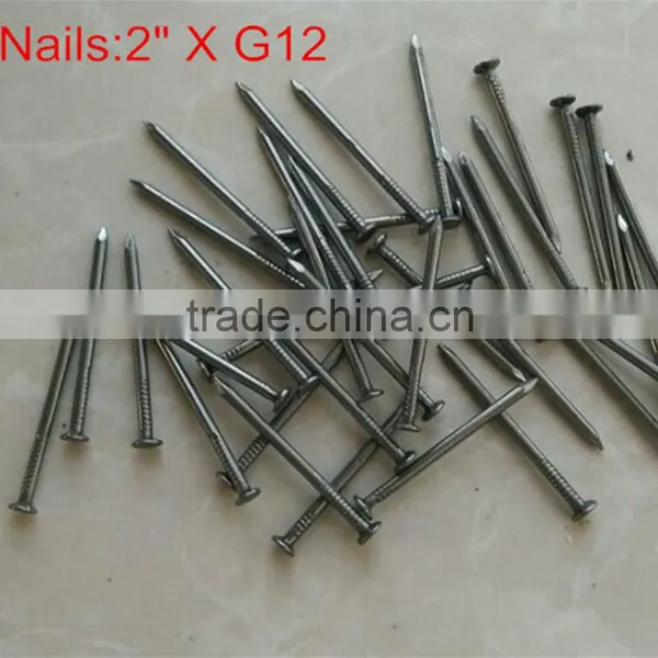 Hot Sale Manufacturer 1-6 Inch Common Nail Galvanized Nail photo-3