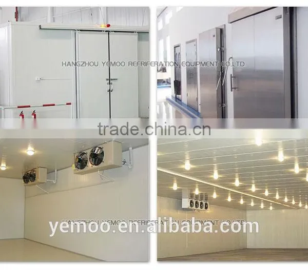 Hangzhou Yemoo Banana Cold Storage With Door for Sale photo-2