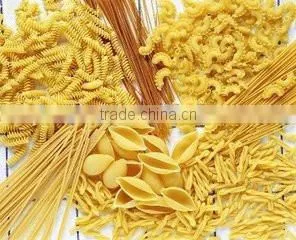 High Quality Fully Automatic Spaghetti Processing Line/Extruder Machine photo-4