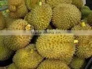 BEST PRICE VIETNAM FROZEN DURIAN photo-5