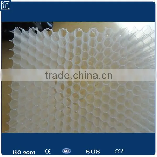 Corrugated pp Hollow Sheet photo-6