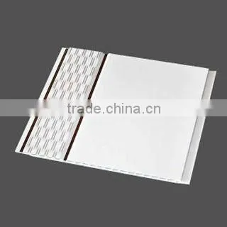 Pvc Panel Hot-selling of Good Quality 25cm for Africa photo-6