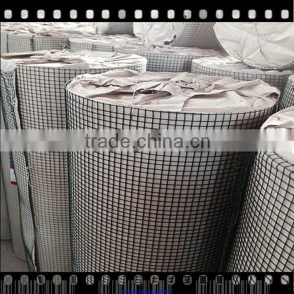 2 Inch Vinyl Coated Welded Wire Mesh Best Quality photo-5