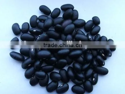 Black Beans New Crop photo-5