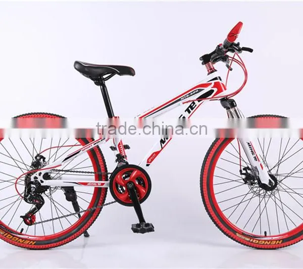 24-inch Mountain Bike 21 Speed Dual Disc Brakes Mountain Bike photo-2