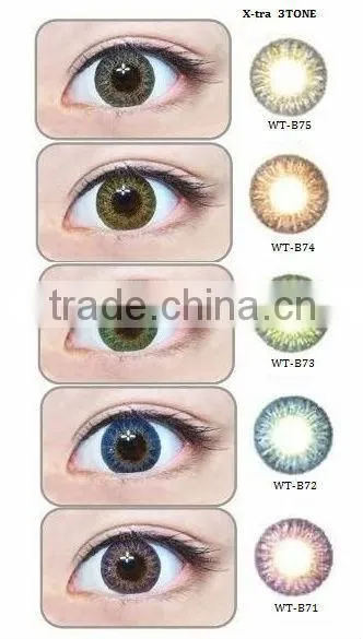 Wholesale South Korea Competitive Price Yearly Soft ColorED Contact Lens Geo Wholesale Contact Lenses photo-2