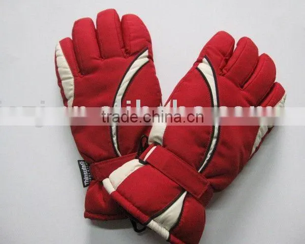 Ski Gloves