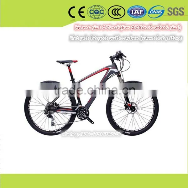 High Quality Spring Men Women Bicycle Frame Carbon Fiber With Glasses Free Provide USB Light photo-5