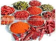 Hot Chillies