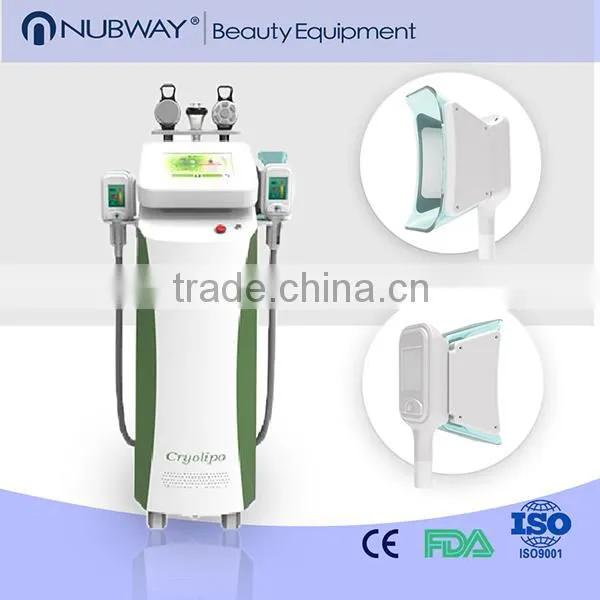 Cryolipolysis RF Cavitation Weight Loss Machine Skin Lifting Fat Freeze Body Sculpting Slimming Machine Fat Reduction photo-2