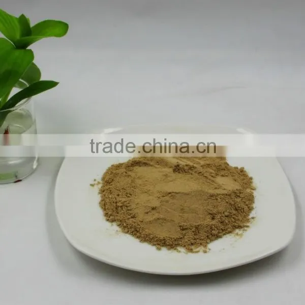 Pure Natural Shitake Mushroom Powder / Shitake Mushroom Extract / Polysaccharides