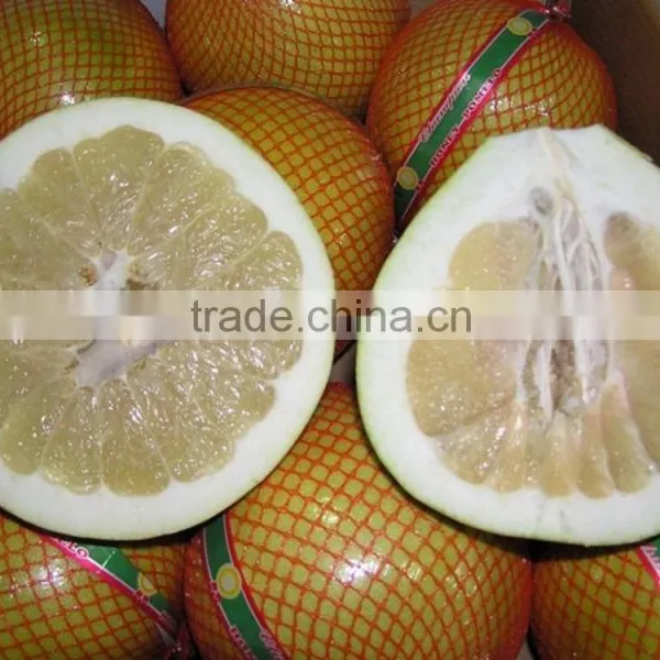 2015 New Crop of Fresh Honey Pomelo for Sale photo-2