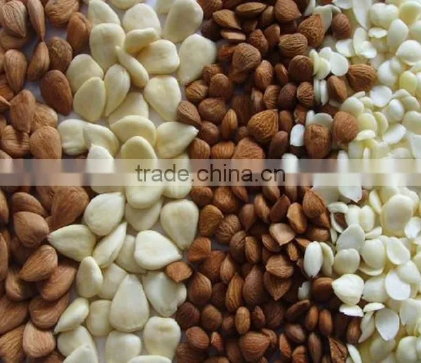 Apricot Kernels photo-4