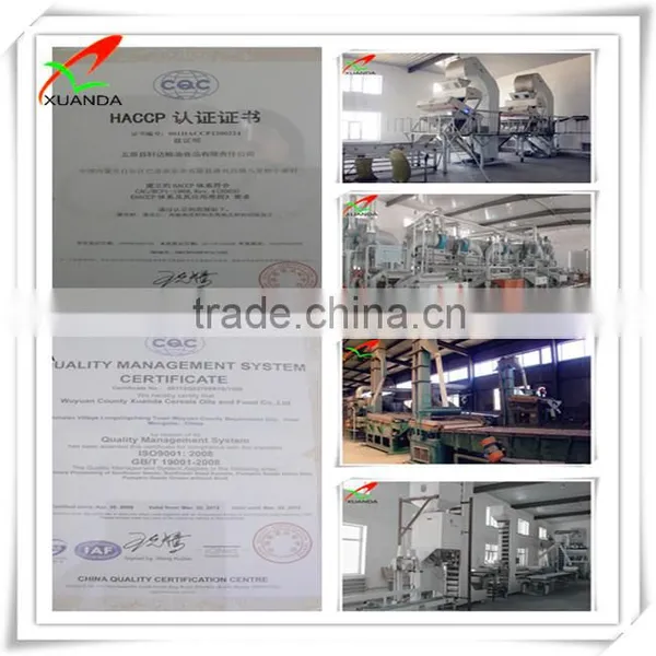 Hulled Sunflower Seed Kernels Bakery Grade photo-3