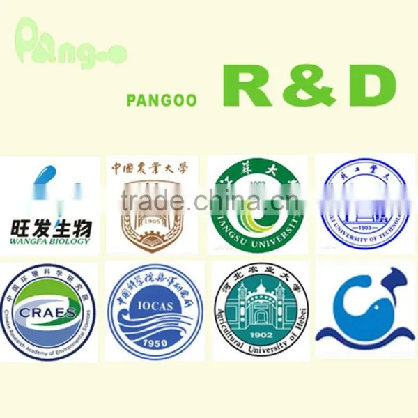 Supplier Bacillus Subtilis/product Bacillus Subtilis/manufacturing Bacillus Subtilis photo-2