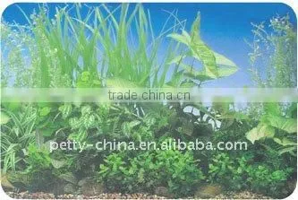 Fish Aquarium Background