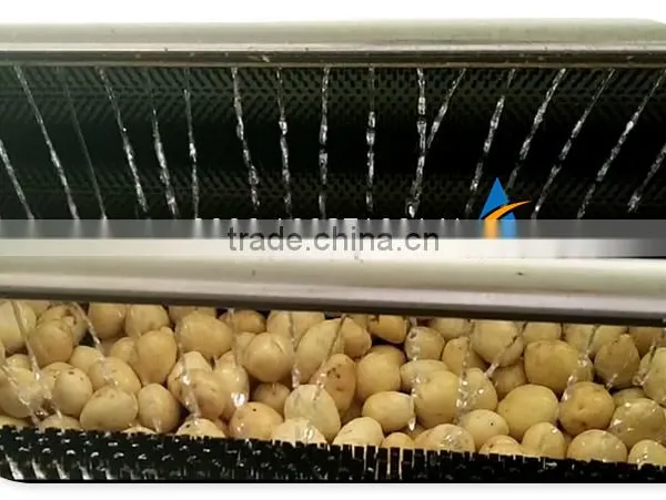 Industrial Stainless Steel Potato Washing Machine, Potato Peeling Machine photo-4
