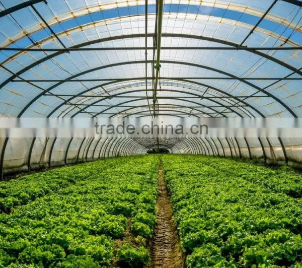 Indoor Garden LED Greenhouse Plant Growth Promoter Full Spectrum 45W LED Grow Light photo-4