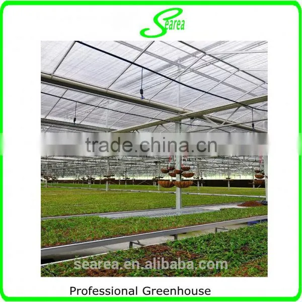 UV Protcetion Polycarbonate Sheet Greenhouse photo-5