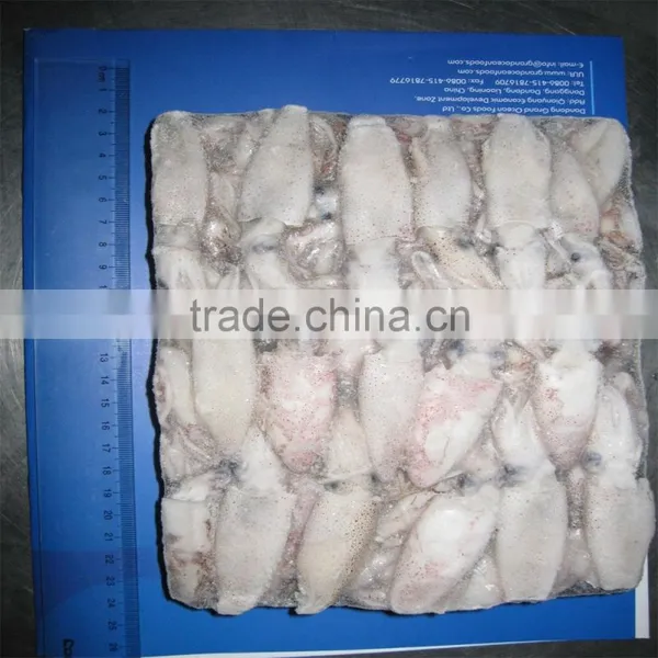 Hot Sale Whole Round Frozen Baby Squid photo-6