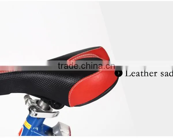 Electric Folding Bike photo-6