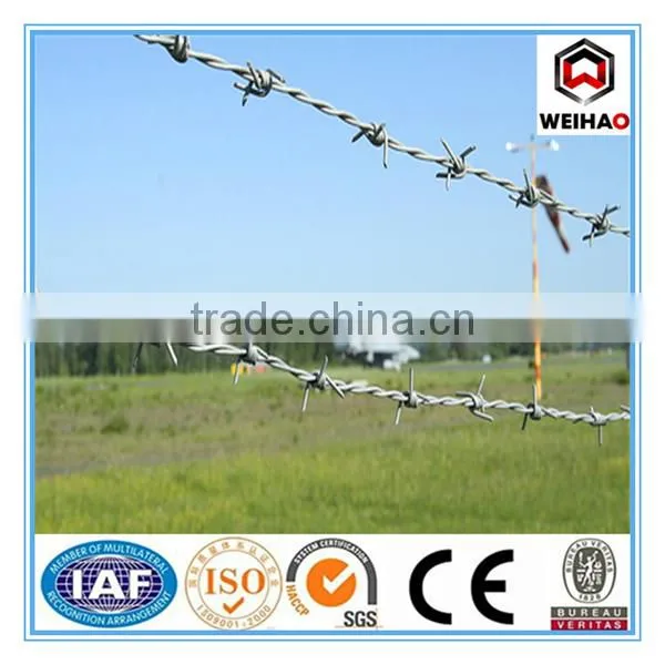 Barbed Wire/Caltrops /galvanized Barbed Wire photo-3