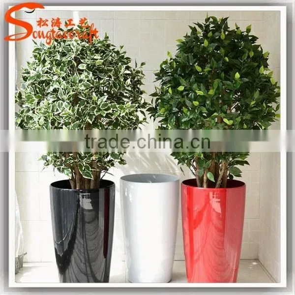 Large Outdoor Bonsai Trees Banyan Wholesale Bonsai Trees Ficus Microcarpa Bonsai Trees photo-2