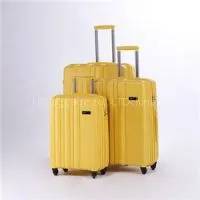 Child Luggage