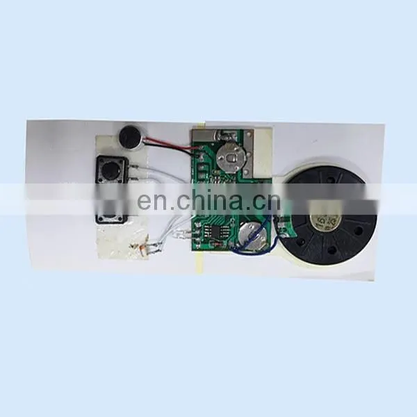 Professional Mini Hidden Voice Recorder Chip Microphone Chip for Box&greeting Card photo-6