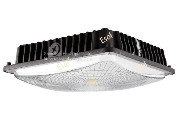 Led Canopy Light