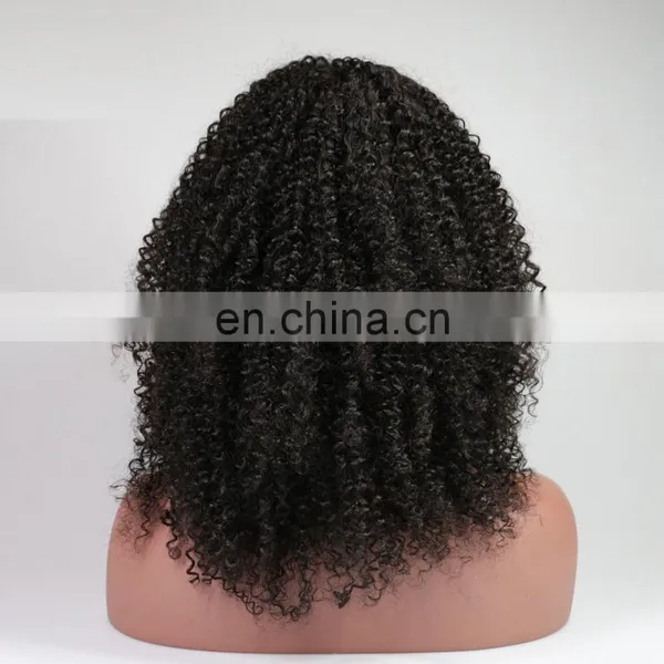 Human Hair Wigs for Black Women Afro Kinky Human Hair Wig photo-4