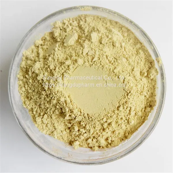Factory Direct Sale Scutellaria Baicalensis Root Extract 80% Baicalin photo-2