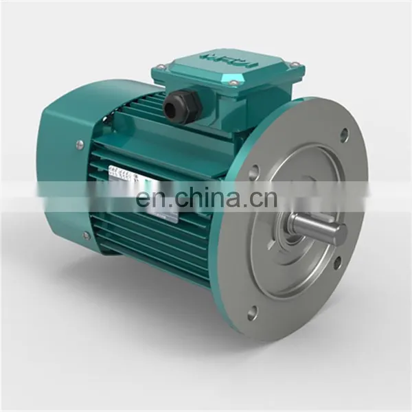 YE2 Series Electric Motor High Speed Three Phase Induction Motor for Industry Machinery Asynchronous Motor photo-6