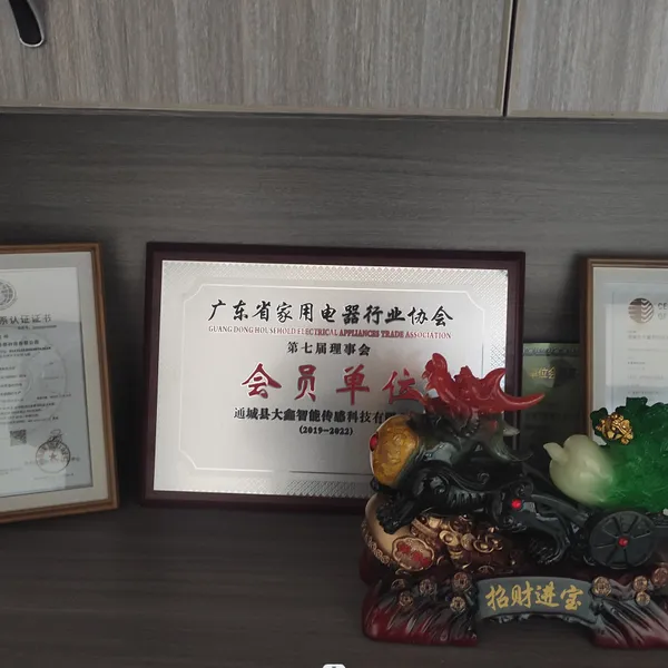 TongCheng DaXin Sensor Technology Co., Ltd company overview - view 2