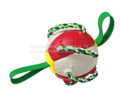 Toy