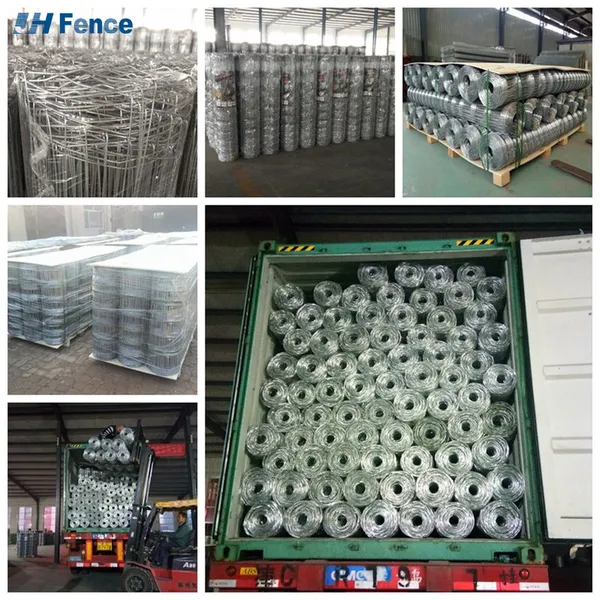 Hot Dipped Galvanized Green PVC Coated Iron Wire for Corrosion Resistance and Aesthetic Appeal in Farm Security Farm Fence Wire photo-6