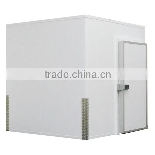 Cold Room Plant/ Cold Room/ Cold Freezer photo-2
