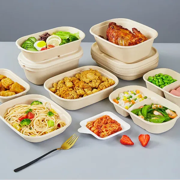 Wholesale Pulp Molded Meal Tray, 700ml/850ml, Food-Safe Bagasse Fiber, Freezer Safe, 2-Compartment