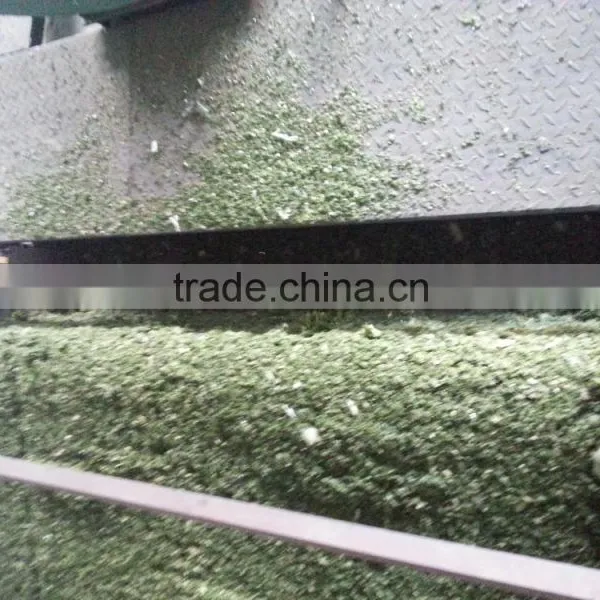 Mesh Belt Dryer for Cabbage photo-2
